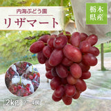ぶどう 【内海ぶどう園】 希少 リザマート 2kg 2～4房 贈答用 栃木県栃木市《8/中旬～8/下旬の出荷》