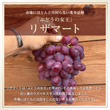 ぶどう 【内海ぶどう園】 希少 リザマート 2kg 2～4房 贈答用 栃木県栃木市《8/中旬～8/下旬の出荷》
