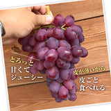 ぶどう 【内海ぶどう園】 希少 リザマート 2kg 2～4房 贈答用 栃木県栃木市《8/中旬～8/下旬の出荷》