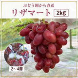 ぶどう 【内海ぶどう園】 希少 リザマート 2kg 2～4房 贈答用 栃木県栃木市《8/中旬～8/下旬の出荷》