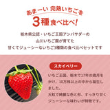 いちご 【山川いちご園】 食べ比べ スカイベリー とちあいか ミルキーベリー 540g 栃木県 苺 イチゴ 《1/上旬より出荷》