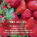 いちご 【横田農園】 オリジナルブランドいちご 甘園房 270g×4パック 福島県須賀川市《1/上旬～中旬より出荷》
