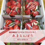 いちご 【横田農園】 オリジナルブランドいちご 甘園房 270g×4パック 福島県須賀川市《1/上旬～中旬より出荷》