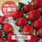 いちご 【横田農園】 オリジナルブランドいちご 甘園房 9～15粒×2 3L~5L 800g 福島県須賀川市 《1/上旬～中旬より出荷》
