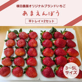 いちご 【横田農園】 オリジナルブランドいちご 甘園房 9～15粒×2 3L~5L 800g 福島県須賀川市 《1/上旬～中旬より出荷》