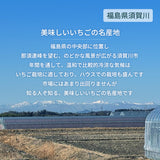 いちご 【横田農園】食べ比べ 甘園房 ゆうやけベリー 18粒 400gずつ 福島県須賀川市《1/上旬～中旬より出荷》