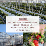 いちご 【横田農園】食べ比べ 甘園房 ゆうやけベリー 18粒 400gずつ 福島県須賀川市《1/上旬～中旬より出荷》