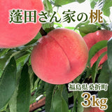 桃 【蓬田さん】 献上桃の郷 もも 3kg 10～12玉 贈答用 福島県桑折町 《7/下旬～8/上旬より出荷》