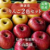 りんご 【信州安曇野 米山農園】 2色リンゴ ふじ ぐんま名月 4.6kg 16～23個 御歳暮 長野県安曇野 《11/下旬～12/上旬より出荷》