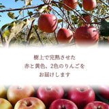 りんご 【信州安曇野 米山農園】 2色リンゴ ふじ ぐんま名月 4.6kg 16～23個 御歳暮 長野県安曇野 《11/下旬～12/上旬より出荷》