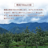 りんご 【信州安曇野 米山農園】 2色リンゴ ふじ ぐんま名月 4.6kg 16～23個 御歳暮 長野県安曇野 《11/下旬～12/上旬より出荷》