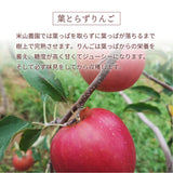 りんご 【信州安曇野 米山農園】 2色リンゴ ふじ ぐんま名月 4.6kg 16～23個 御歳暮 長野県安曇野 《11/下旬～12/上旬より出荷》