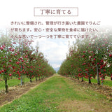 りんご 【信州安曇野 米山農園】 2色リンゴ ふじ ぐんま名月 4.6kg 16～23個 御歳暮 長野県安曇野 《11/下旬～12/上旬より出荷》
