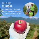 りんご 【信州安曇野 米山農園】 2色リンゴ ふじ ぐんま名月 4.6kg 16～23個 御歳暮 長野県安曇野 《11/下旬～12/上旬より出荷》