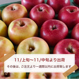 りんご 【信州安曇野 米山農園】 2色リンゴ ふじ ぐんま名月 4.6kg 16～23個 御歳暮 長野県安曇野 《11/下旬～12/上旬より出荷》