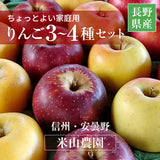 りんご 【信州安曇野 米山農園】 3~4種のりんご  ちょっと良い家庭用 4.6kg 16～23個 長野県安曇野 林檎 秋映 シナノスイート シナノゴールド ぐんま名月 ふじ 《11/上旬～11/中旬より出荷》