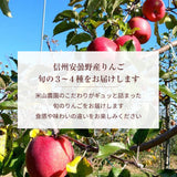 りんご 【信州安曇野 米山農園】 3~4種のりんご  ちょっと良い家庭用 4.6kg 16～23個 長野県安曇野 林檎 秋映 シナノスイート シナノゴールド ぐんま名月 ふじ 《11/上旬～11/中旬より出荷》