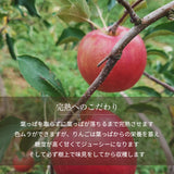 りんご 【信州安曇野 米山農園】 3~4種のりんご  ちょっと良い家庭用 4.6kg 16～23個 長野県安曇野 林檎 秋映 シナノスイート シナノゴールド ぐんま名月 ふじ 《11/上旬～11/中旬より出荷》