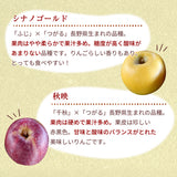 りんご 【信州安曇野 米山農園】 3~4種のりんご  ちょっと良い家庭用 4.6kg 16～23個 長野県安曇野 林檎 秋映 シナノスイート シナノゴールド ぐんま名月 ふじ 《11/上旬～11/中旬より出荷》