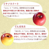 りんご 【信州安曇野 米山農園】 3~4種のりんご  ちょっと良い家庭用 4.6kg 16～23個 長野県安曇野 林檎 秋映 シナノスイート シナノゴールド ぐんま名月 ふじ 《11/上旬～11/中旬より出荷》