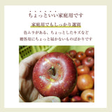 りんご 【信州安曇野 米山農園】 3~4種のりんご  ちょっと良い家庭用 4.6kg 16～23個 長野県安曇野 林檎 秋映 シナノスイート シナノゴールド ぐんま名月 ふじ 《11/上旬～11/中旬より出荷》