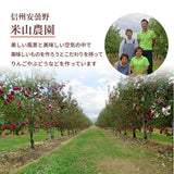 りんご 【信州安曇野 米山農園】 3~4種のりんご  ちょっと良い家庭用 4.6kg 16～23個 長野県安曇野 林檎 秋映 シナノスイート シナノゴールド ぐんま名月 ふじ 《11/上旬～11/中旬より出荷》