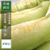 メロン 【方波見農園】 ゆうか 優香 5kg 3～6玉 糖度16度以上 贈答用 茨城県鉾田市 《6/上旬～6/中旬より出荷》