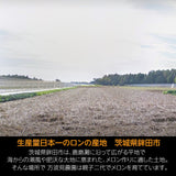 メロン 【方波見農園】 ゆうか 優香 3L以上 2玉 2.4~3.6kg以上 糖度16度以上 贈答用 茨城県鉾田市 《6/上旬～6/中旬より出荷》