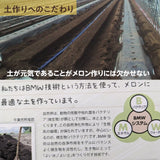メロン 【方波見農園】 ゆうか 優香 3L以上 2玉 2.4~3.6kg以上 糖度16度以上 贈答用 茨城県鉾田市 《6/上旬～6/中旬より出荷》