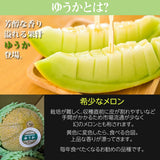メロン 【方波見農園】 ゆうか 優香 5kg 3～6玉 糖度16度以上 贈答用 茨城県鉾田市 《6/上旬～6/中旬より出荷》