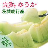 メロン 【方波見農園】 ゆうか 優香 3L以上 2玉 2.4~3.6kg以上 糖度16度以上 贈答用 茨城県鉾田市 《6/上旬～6/中旬より出荷》