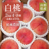 桃 【結城農園】 白桃 2㎏ 4～8玉 品種おまかせ 山形県 《8/下旬～9/上旬より出荷》
