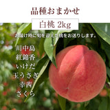 桃 【結城農園】 白桃 2㎏ 4～8玉 品種おまかせ 山形県 《8/下旬～9/上旬より出荷》