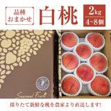 桃 【結城農園】 白桃 2㎏ 4～8玉 品種おまかせ 山形県 《8/下旬～9/上旬より出荷》