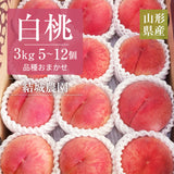 桃 【結城農園】 白桃 3㎏ 5～12玉 品種おまかせ 山形県産 《8/下旬～9/上旬より出荷》