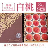 桃 【結城農園】 白桃 3㎏ 5～12玉 品種おまかせ 山形県産 《8/下旬～9/上旬より出荷》