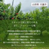 桃 【結城農園】 白桃 2㎏ 4～8玉 品種おまかせ 山形県 《8/下旬～9/上旬より出荷》