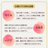 桃 【結城農園】 白桃 2㎏ 4～8玉 品種おまかせ 山形県 《8/下旬～9/上旬より出荷》