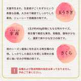 桃 【結城農園】 白桃 3㎏ 5～12玉 品種おまかせ 山形県産 《8/下旬～9/上旬より出荷》