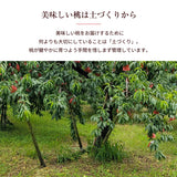 桃 【結城農園】 白桃 2㎏ 4～8玉 品種おまかせ 山形県 《8/下旬～9/上旬より出荷》