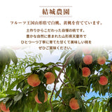 桃 【結城農園】 白桃 2㎏ 4～8玉 品種おまかせ 山形県 《8/下旬～9/上旬より出荷》