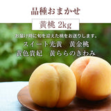 桃 【結城農園】 黄桃 2㎏ 4～8玉 品種おまかせ 山形県産 《8/中旬～9/上旬より出荷》