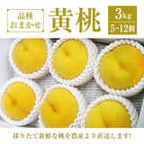 桃 【結城農園】 黄桃 3㎏ 5～12玉 品種おまかせ 山形県産 《8/下旬～9/上旬より出荷》