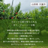 桃 【結城農園】 黄桃 3㎏ 5～12玉 品種おまかせ 山形県産 《8/下旬～9/上旬より出荷》