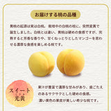 桃 【結城農園】 黄桃 2㎏ 4～8玉 品種おまかせ 山形県産 《8/中旬～9/上旬より出荷》