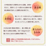 桃 【結城農園】 黄桃 2㎏ 4～8玉 品種おまかせ 山形県産 《8/中旬～9/上旬より出荷》