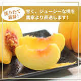 桃 【結城農園】 黄桃 2㎏ 4～8玉 品種おまかせ 山形県産 《8/中旬～9/上旬より出荷》