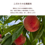 桃 【結城農園】 黄桃 2㎏ 4～8玉 品種おまかせ 山形県産 《8/中旬～9/上旬より出荷》
