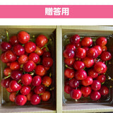 さくらんぼ 【桜桃慕庵】 佐藤錦 1kg 贈答用 L以上 山形 東根市 《6/中旬～6/下旬の出荷》
