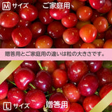 さくらんぼ 【桜桃慕庵】 佐藤錦 1kg 贈答用 L以上 山形 東根市 《6/中旬～6/下旬の出荷》